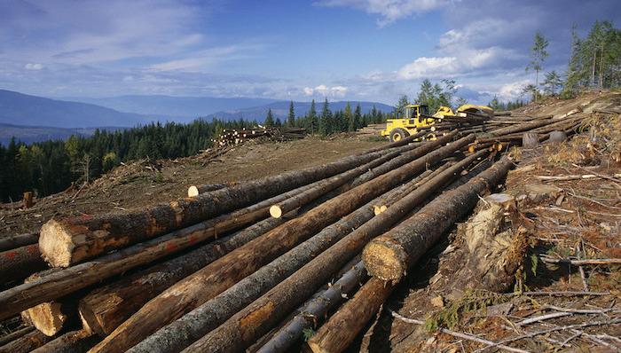 贸易战,美国,加拿大