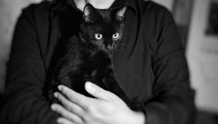 咖啡,艺术,黑猫警长,朋克