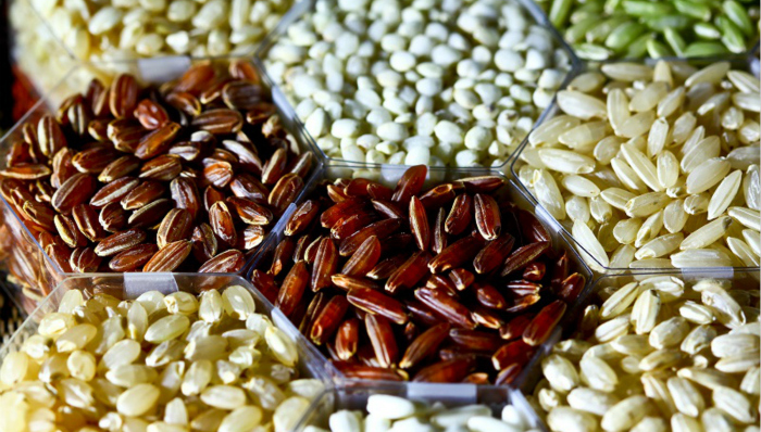 粮食安全,饮食结构,能源转型