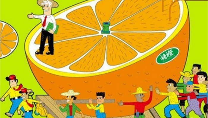 褚时健,褚橙,生鲜电商,互联网