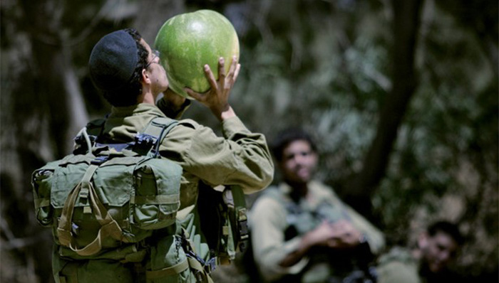 以色列,国防军,素食主义者,兵役,内塔尼亚胡