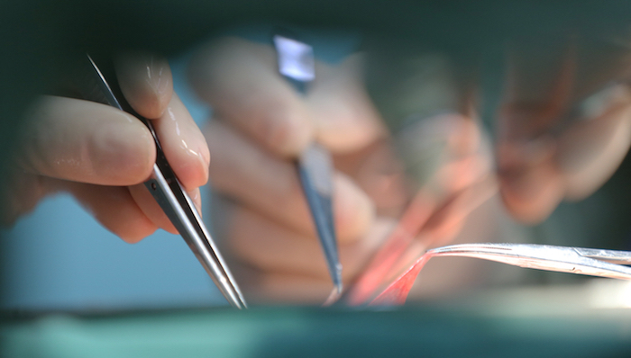 死囚,器官,黄洁夫,顾氏和平奖