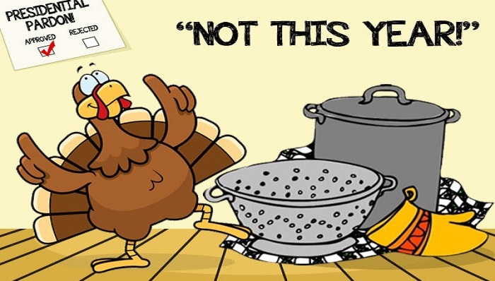 火鸡安倍,感恩节,总统赦免火鸡