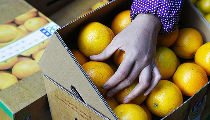 京东,天天果园,褚橙,生鲜电商