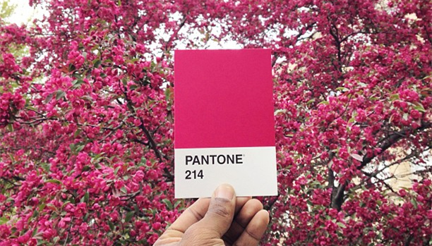 潘通色卡,设计,颜色,色彩,品牌色,可口可乐,星巴克