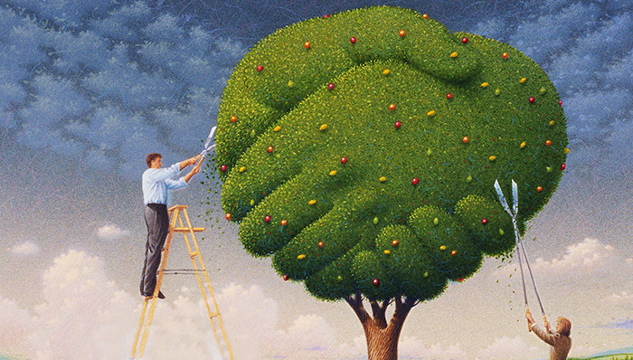 阿里巴巴整合优酷土豆