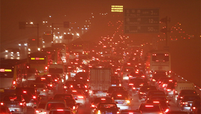 北京,交通拥堵费,河南,掏鸟,,老人跌倒扶不扶