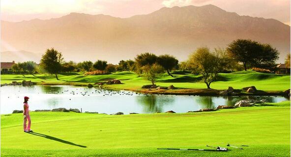 职业体育,巴黎气候大会,气候变化,绿色环保