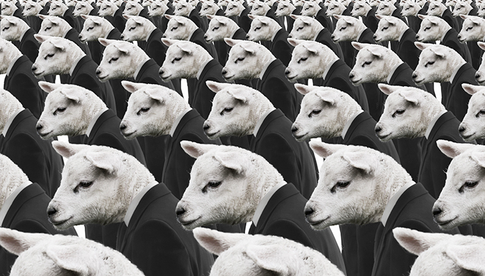 12306奇葩验证让人吐槽