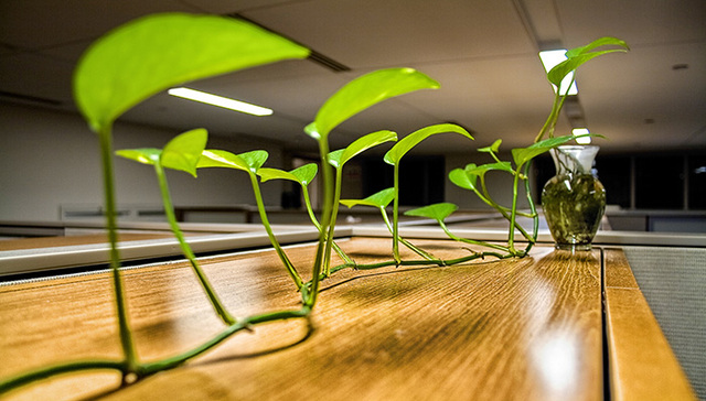 最佳办公环境评选