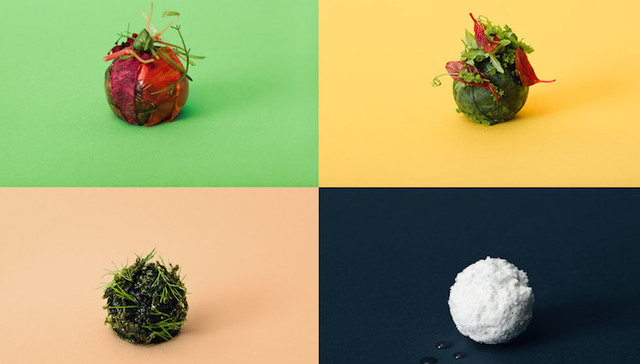 如果20年后宜家开卖炸昆虫肉丸 你会买吗？