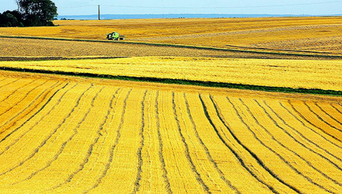 农村，土地政策