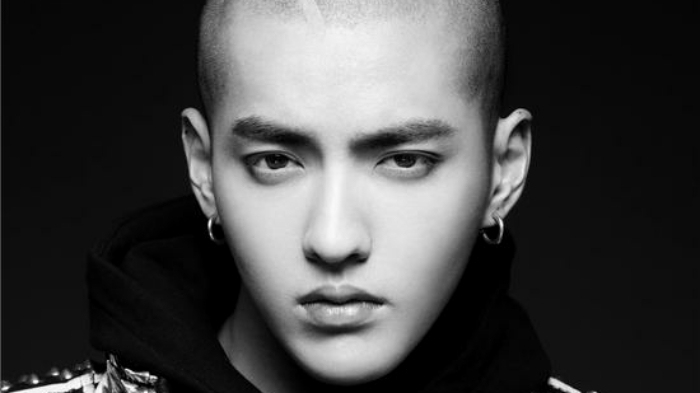 好莱坞也爱小鲜肉  吴亦凡、鹿晗、Baby加盟多部国际大片