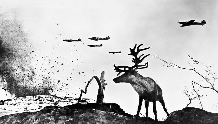 战争记忆,万国兵器