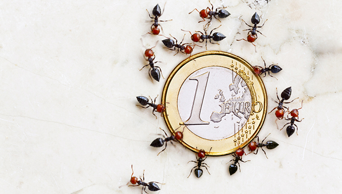 十三五时期中国将大力实施网络强国战略