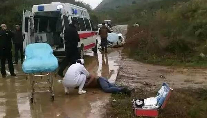 北京,龙泉寺,广西,偷狗,八宝山公墓