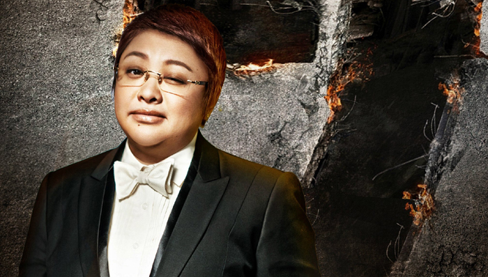 韩红,华录百纳,上市公司