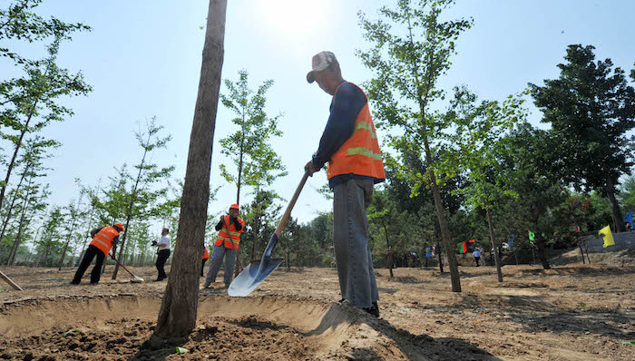 日本,援助,中国,植树