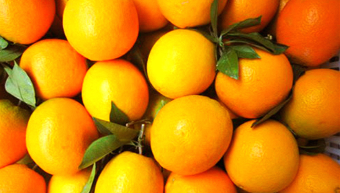 褚橙,褚时健,食品业