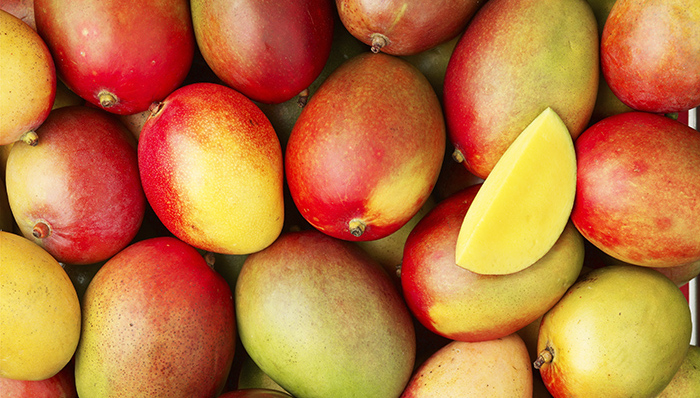 丁诚+芒果TV,除了独播还有什么