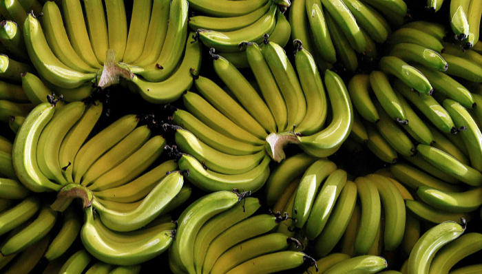 沃尔玛,销量冠军,香蕉,沃尔玛转型电商