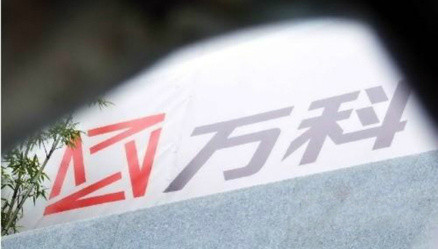 万科,宝能系,安邦保险,杠杆,资本市场
