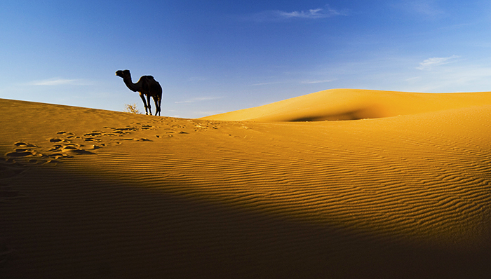 南航海航宣布暂停与去哪儿合作,南航海航同时关闭去哪儿网的旗舰店