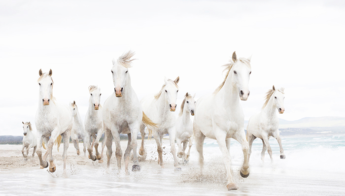 估值超10亿的245个公司