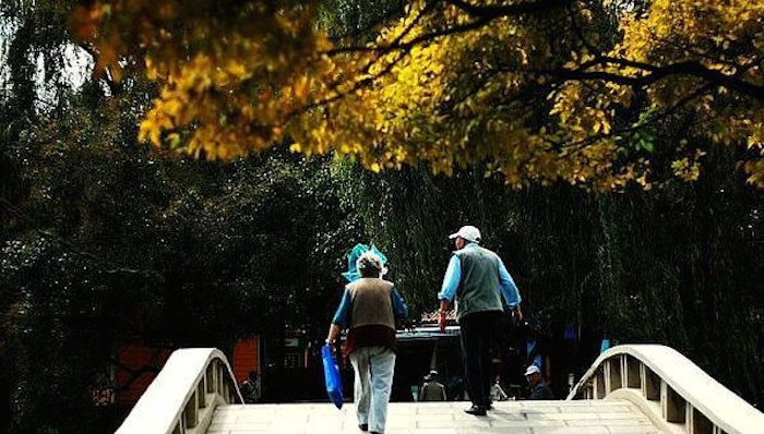 楼继伟,退休人员,医保缴费