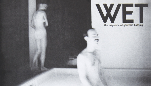 洗澡,杂志,WET,美国,独立杂志