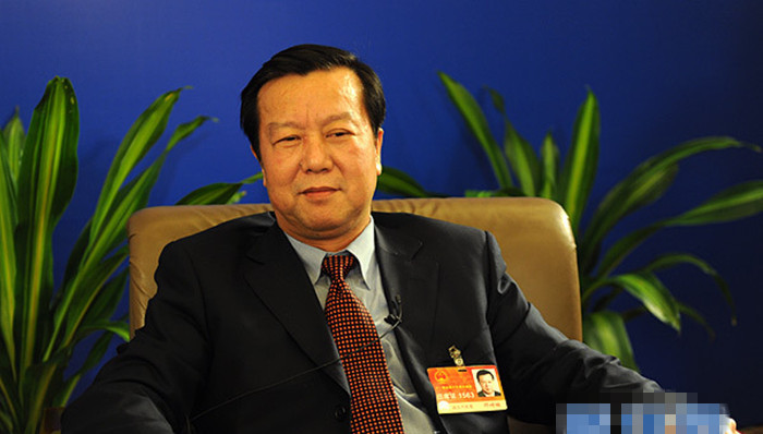 武钢,邓崎琳,开除党籍,迷信