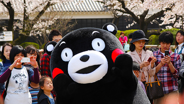 熊本熊两年赚了66亿