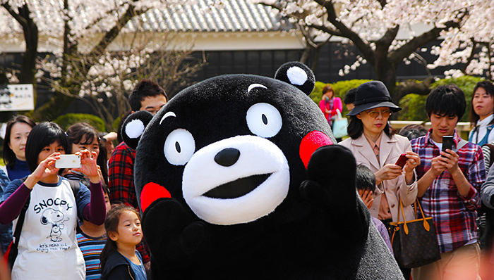 熊本熊两年赚了66亿