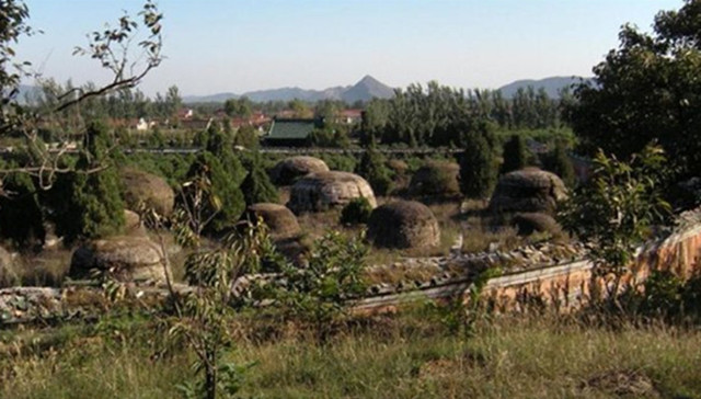 反腐,戒毒所,考研,,康熙,妃子陵墓,被盗,北京,考研,替考入刑