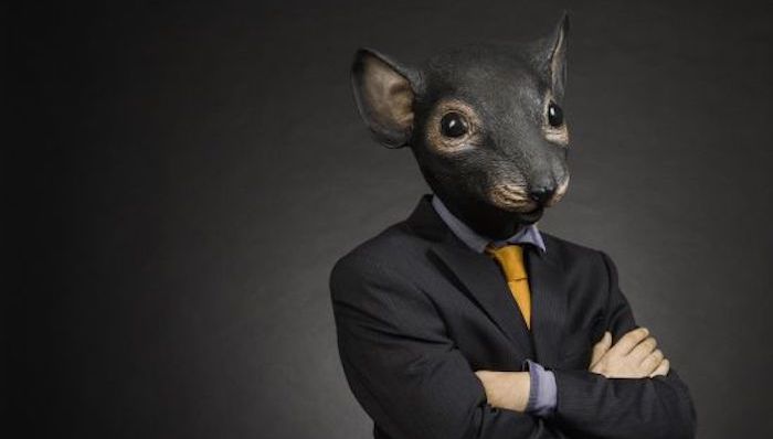 地方新闻精选|全国最大老鼠仓案宣判  成交金额高达18亿多元