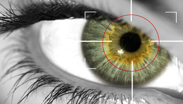 我的老板是CIA女特工