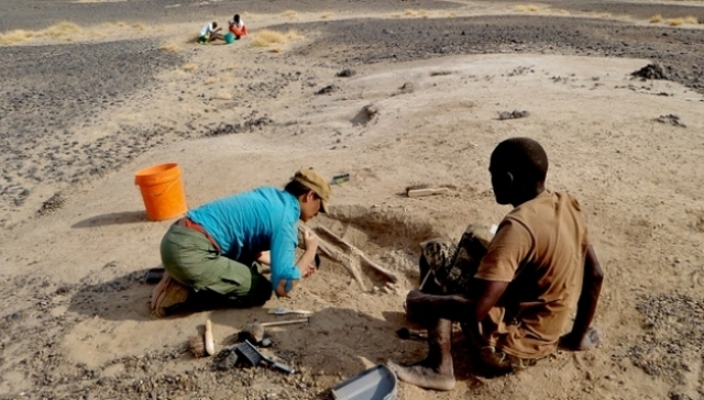 那塔鲁克,大屠杀,战争,史前,部落