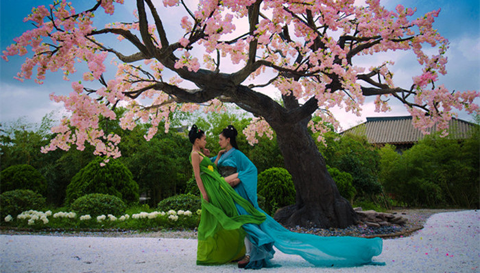 《太子妃升职记》被下架 乐视伤心之余想的是如何踢破二次元的壁