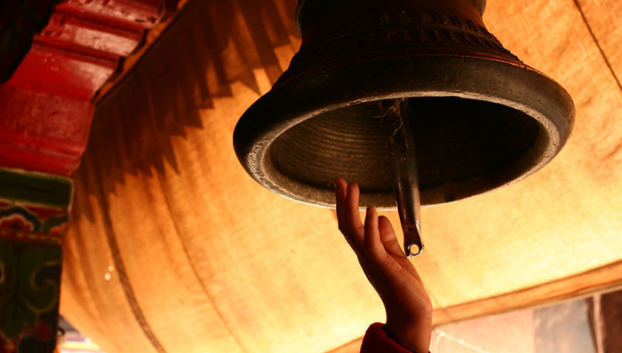 上海,领导干部家属,经商