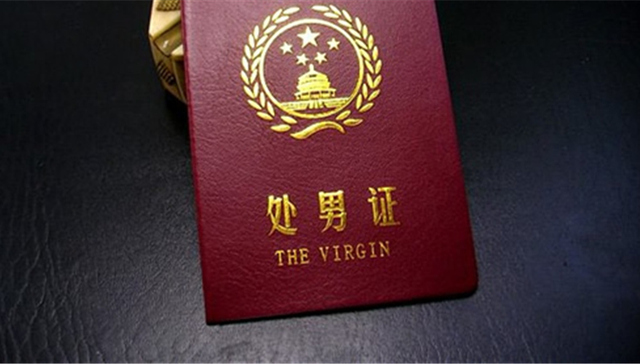 处男,奖学金,处女,南非,保护,非处