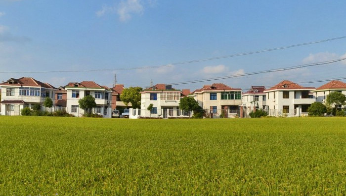 上海市,政协委员,中科院上海生科院植物生理生态研究所,何祖华,农田,土壤