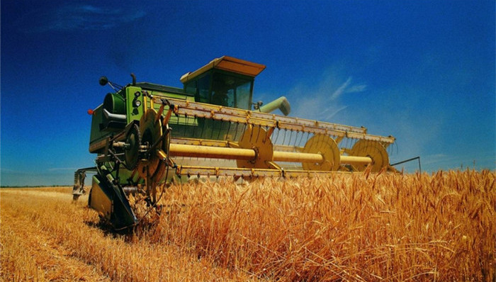 西班牙《起义报》,服装,食物,中国制造,中国农业