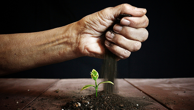 2016年要把握的五大商业趋势