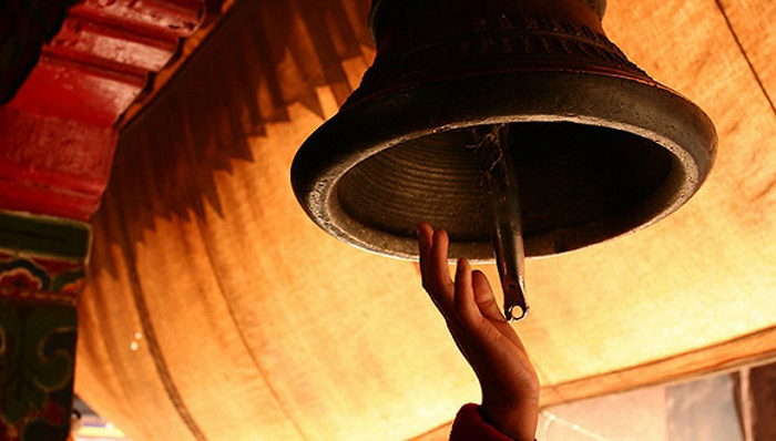 十八大,市委书记,落马,补缺