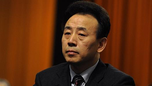 四川省,魏宏,调查,降职