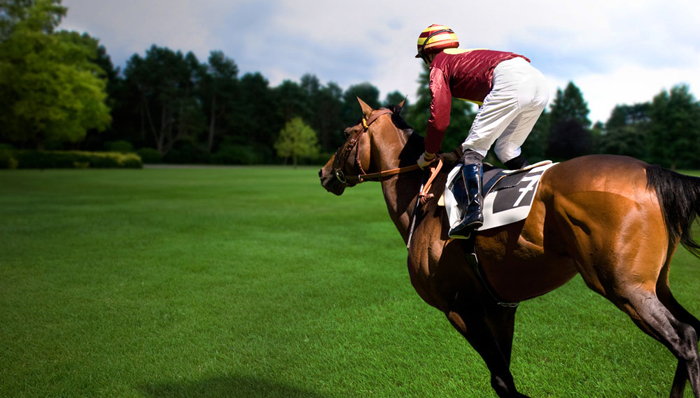 体育,马术,巴黎综合理工学院