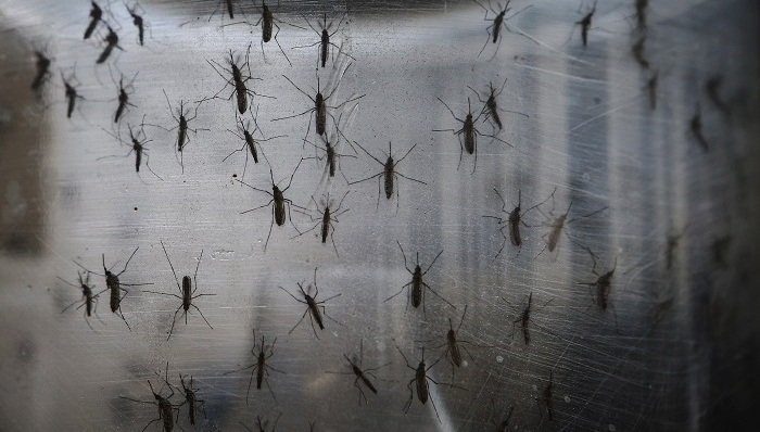 拉丁美洲,寨卡病毒