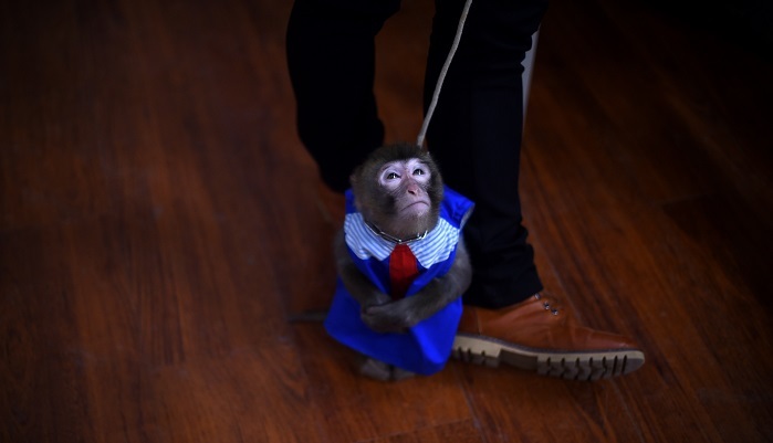 春节期间,金融市场,六大事件