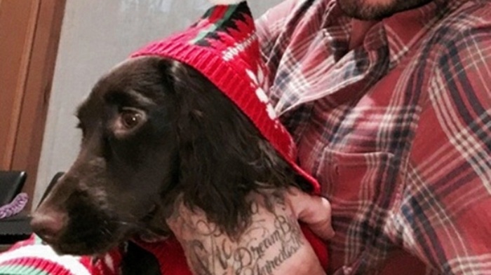 夜观星象|郭晶晶儿子幼儿园学费一年14万 贝克汉姆爱犬做美容每周一千五