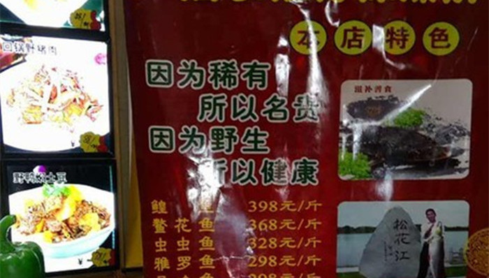 哈尔滨,天价鱼,北岸野生渔村,铁锅鱼